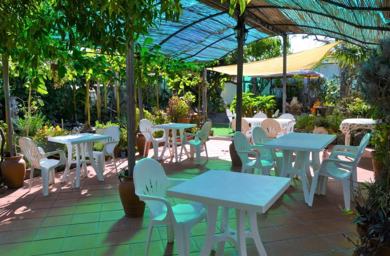Agriturismo Terre Di Mare Bordighera Vallecrosia Exterior foto
